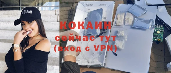 спайс Алексин