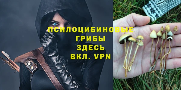 молекула духа Нязепетровск