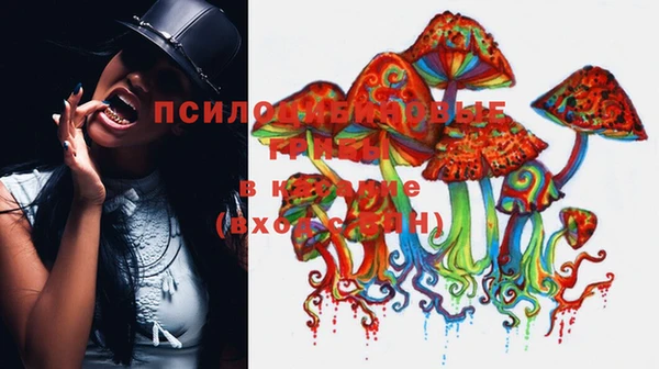 спайс Алексин