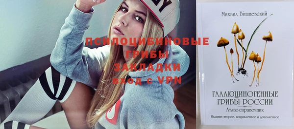 стаф Алексеевка