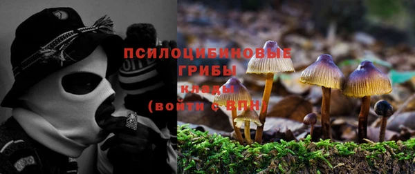 стаф Алексеевка