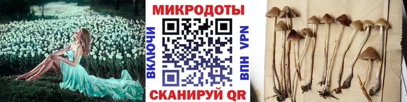 дарнет шоп Первоуральск маркетплейс телеграм Галлюциногенные грибы Psilocybine cubensis
