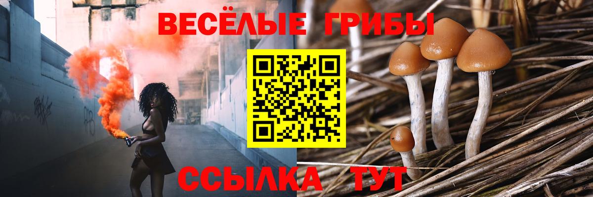 Псилоцибиновые грибы MAGIC MUSHROOMS  Вход с VPN  Первоуральск 